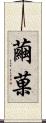 繭菓 Scroll