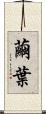 繭葉 Scroll
