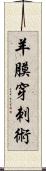 羊膜穿刺術 Scroll