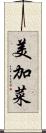 美加菜 Scroll