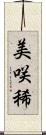 美咲稀 Scroll