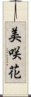 美咲花 Scroll