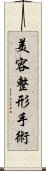 美容整形手術 Scroll