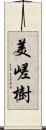 美嵯樹 Scroll