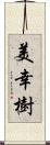 美幸樹 Scroll