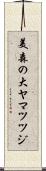 美森の大ヤマツツジ Scroll