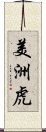 美洲虎 Scroll