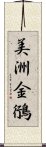 美洲金鴴 Scroll