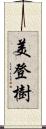 美登樹 Scroll