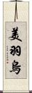 美羽烏 Scroll