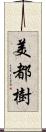 美都樹 Scroll