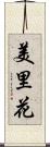 美里花 Scroll