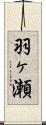 羽ヶ瀬 Scroll