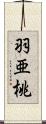 羽亜桃 Scroll