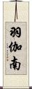 羽伽南 Scroll