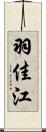 羽佳江 Scroll