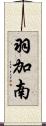 羽加南 Scroll