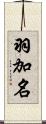 羽加名 Scroll