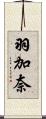 羽加奈 Scroll