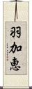 羽加恵 Scroll