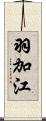 羽加江 Scroll