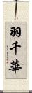 羽千華 Scroll