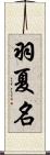 羽夏名 Scroll