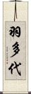 羽多代 Scroll