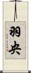 羽央 Scroll