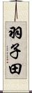 羽子田 Scroll