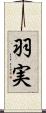 羽実 Scroll