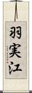 羽実江 Scroll