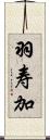 羽寿加 Scroll