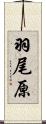羽尾原 Scroll