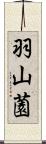 羽山薗 Scroll