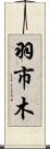 羽市木 Scroll