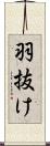 羽抜け Scroll
