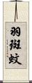 羽斑蚊 Scroll