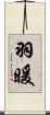 羽暖 Scroll