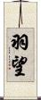 羽望 Scroll