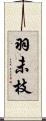 羽未枝 Scroll