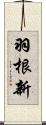 羽根新 Scroll