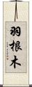 羽根木 Scroll