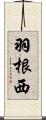 羽根西 Scroll