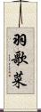 羽歌菜 Scroll