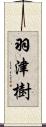 羽津樹 Scroll