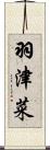 羽津菜 Scroll