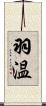 羽温 Scroll