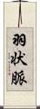 羽状脈 Scroll
