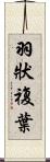 羽狀複葉 Scroll